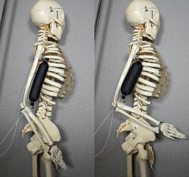 佐治亚理工学院设计出由人造肌肉控制的柔性透镜 有望让软体机器人“看见”东西佐治亚理工学院设计出由人造肌肉控制的柔性透镜 有望让软体机器人“看见”东西