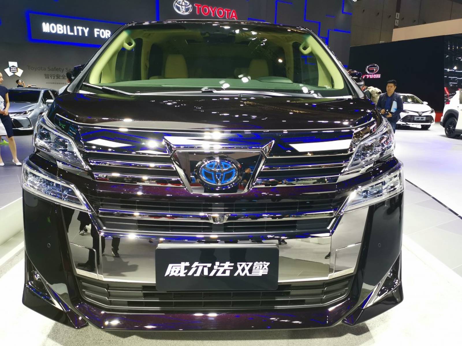 最新款威尔法国六环保出售