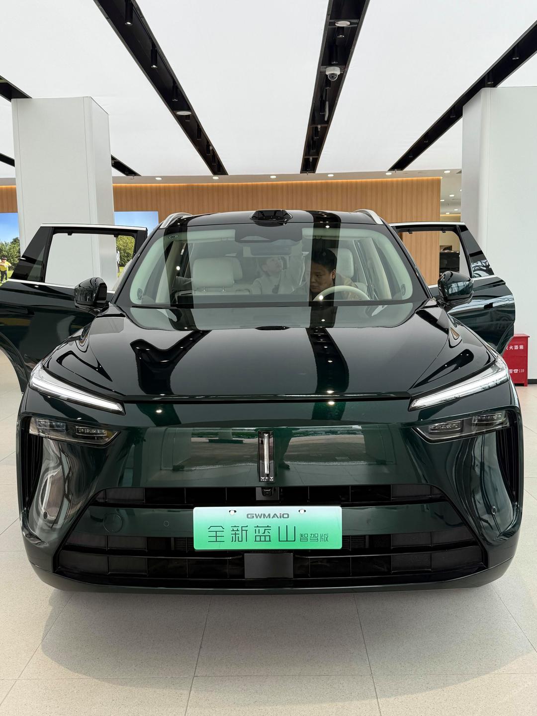 VLA大模型上车 魏牌全新蓝山智能进阶版全网首测CP Master辅助驾驶