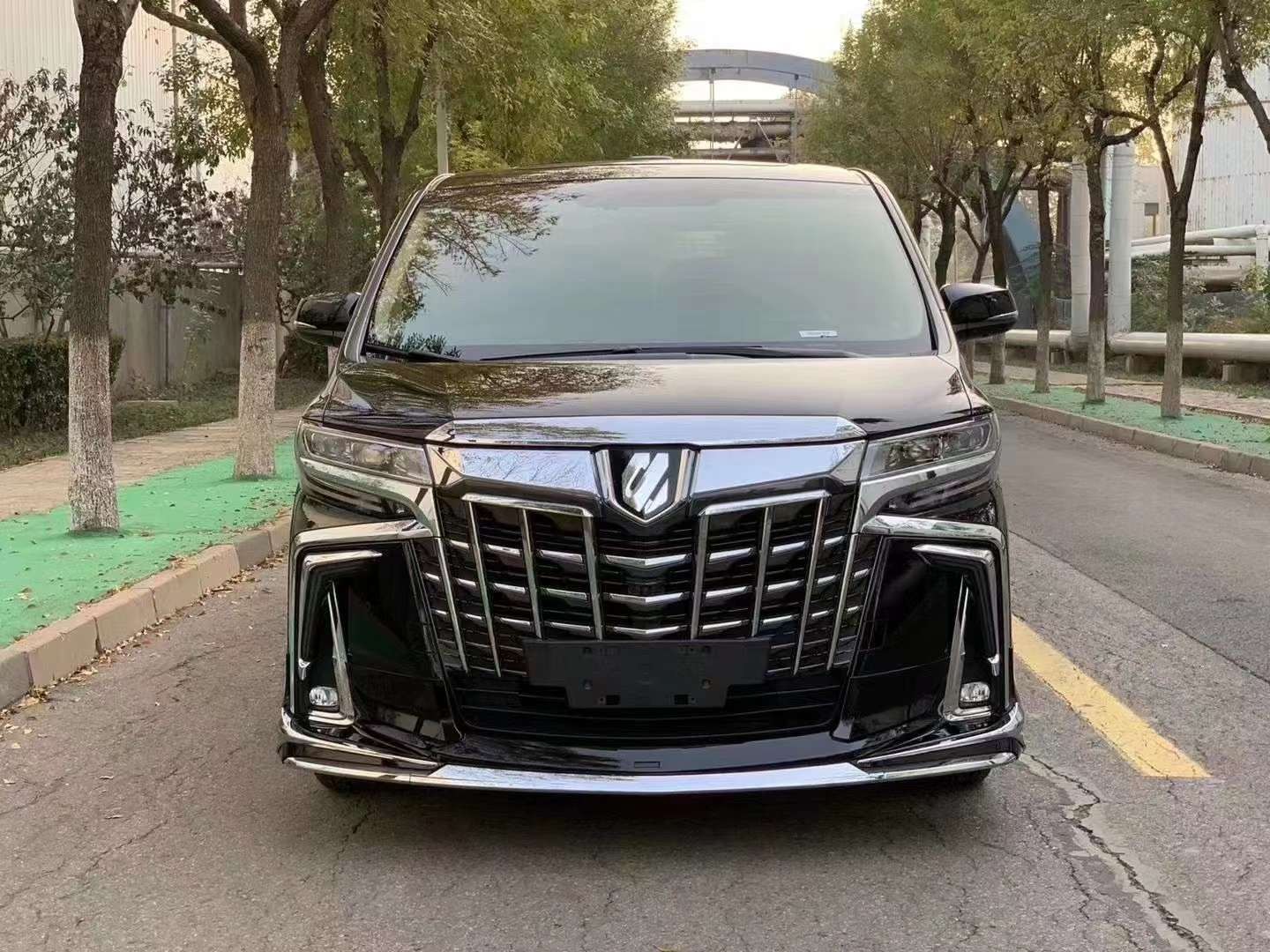 新一代埃尔法上市